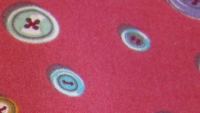 20120911-001%e8%b3%bc%e5%85%a5%e7%94%9f%e5%9c%b0-16